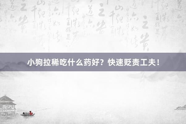 小狗拉稀吃什么药好？快速贬责工夫！