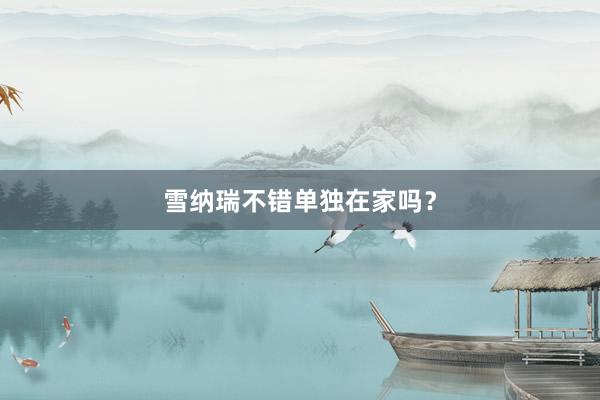 雪纳瑞不错单独在家吗？