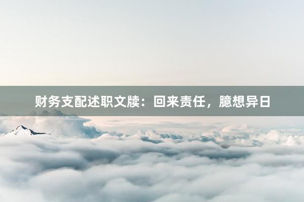 财务支配述职文牍：回来责任，臆想异日