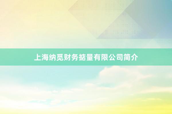 上海纳觅财务掂量有限公司简介